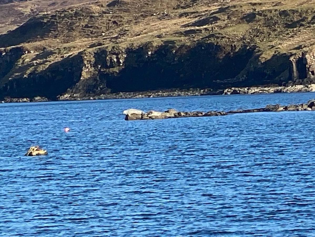 Carters Rest Guesthouse Milovaig Eksteriør billede